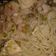 El cooksnap de Aguus Klekner cuando hizo Spaguettis a la parissien ★★★.