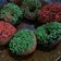 Cooksnap dari Fitriarif Prasetyo untuk resep Donat ubi kuning empuk