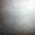 annette.vidaurri's cooksnap of when they made Milk Gravy w/biscuits.