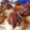 Cooksnap dari Alinnis Kitchen untuk resep Puff pastry/choux pastry/soes/eclair