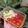 Cooksnap dari hanmarch untuk resep Es bubur sumsum candil mutiara
