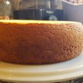 El cooksnap de Fernanda cervantes cuando hizo Bizcochuelo sin tacc húmedo +tips.