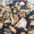 Cooksnap Nuraliyah Mn semasa beliau membuat Ayam Masak Halia.