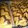 Cooksnap dari Gorgus Cooking untuk resep Blueberry Roll Cake