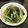 Yichen 的 油菜花炒肉絲 cooksnap
