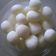 Neeta Mehta's cooksnap of when they made રસગુલ્લા (Rasgulla Recipe In Gujarati).