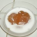 Cooksnap dari Misspurple Osni untuk resep Bubur pati garut/tepung larut