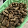Cooksnap dari Choironisa Selfi Hardiyanto untuk resep Kacang Tanah Rebus Irit Gas