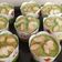 Cooksnap dari sekarwati untuk resep Pandan Chiffon Cupcake (#PR_AnekaChiffon)