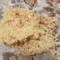 Cooksnap dari Liliyana 04 untuk resep Ayam kremes super kriuk