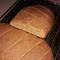 El cooksnap de Yoli Palazzo cuando hizo Pan integral de salvado con semillas.