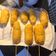 Cooksnap dari Ishyana Kusuma untuk resep Corndog Sosis Mozzarella