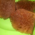 Cooksnap dari Milanasduk untuk resep Bolu karamel/sarang semut