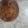 El cooksnap de Andrea cuando hizo Torta de manzana🍎💋.