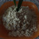 Cooksnap dari Windy Okta untuk resep Ketan Bubuk Dele (pakai rice cooker)