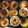 Sally Liao 的 葡式蛋撻 cooksnap