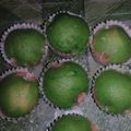 Cooksnap dari Debby Januar untuk resep Bolu Kukus Semangka(Tanpa Soda, Anti Gagal, 1 telur)