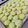 Cooksnap dari Ledi Effendy untuk resep Kukis klepon // Klepon Cookies