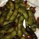 Cooksnap dari Sasa Sushanty Nanny untuk resep Spicy Garlic Edamame