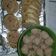 Cooksnap dari Inta untuk resep Rollade tuna