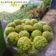 Cooksnap dari Arum_Kusuma untuk resep Kukis klepon // Klepon Cookies