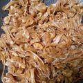 Cooksnap dari Tifanny Intan untuk resep Kwetiau Goreng Ala Resto