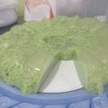 Cooksnap dari Mariska Prihatini Chaniago untuk resep Puding lumut pandan