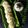 Antara Chakravorty's cooksnap of when they made ইডলি আর নারকেলের চাটনি(Idli and chutney recipe in Bengali).