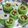 Geeta Godhiwala's cooksnap of when they made Date and paan Sweets.