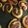 Cooksnap από 🌹Αναστασια+Ν+Ο+Κ❤️❤️❤️ στη συνταγή Νηστίσιμα νόστιμα ροξάκια