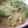 El cooksnap de Lucia Gonzalez Ollonarte cuando hizo Sopa de verduras con fideos y garbanzos.