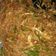 Cooksnap dari Erty Hari Ini untuk resep Bihun super irit ala anak kost