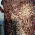 Cooksnap dari Keikris Kristyanto untuk resep Brownies panggang irit lembut moist by.Kheyla's kitchen