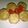 Cooksnap dari Siswaty Elfin Bachtiar untuk resep TAHU SARANG BAKSO