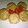 Cooksnap dari Siswaty Elfin Bachtiar untuk resep TAHU SARANG BAKSO