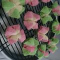 Cooksnap dari Agathaa Asihrahayu untuk resep Bolu Mekar Ekonomis