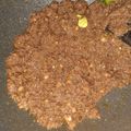 Cooksnap dari gemilang untuk resep Bumbu Kacang Siomay