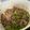 Cooksnap dari Cindy Yoshiko untuk resep Beef Yakiniku