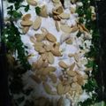 صورة من فاتن عثمان، شاركها بعد تجربة وصفة فتة شاورما
