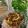 Cooksnap dari Novira Anggriyani untuk resep Daging sapi teriyaki ala hokben