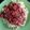 Bill Duffy's cooksnap of when they made Spaghetti Sauce.
