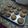 El cooksnap de Luli Porto cuando hizo Muffins con decorado de buttercream.