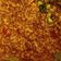 Cooksnap dari Mammy Inna untuk resep Kering Tempe