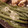MarcusDillon's cooksnap of when they made Parmesan Garlic String Beans.