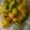 ruthsendalus's cooksnap of when they made Curry Shrimp by Pam....