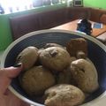 El cooksnap de chiara mantello cuando hizo Cookies americanas.