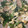 snow012's cooksnap of when they made ほうれん草ウインナーと卵のバター醤油炒め.