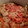 El cooksnap de rodrigo cuando hizo Pollo con pimientos y cebolla.