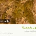 صورة من -Hamza Al Tayyar، شاركها بعد تجربة وصفة فول مدمس بتتبيله شاميه