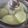 Cooksnap dari Nora Sari untuk resep Roti Kukus Pandan